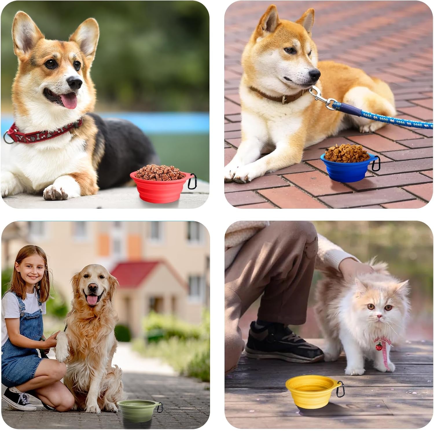 Versatile 2-Pack Collapsible Silicone Dog Bowls - Portable, BPA-Free Travel Dishes for Food and Water in Army Green and Blue